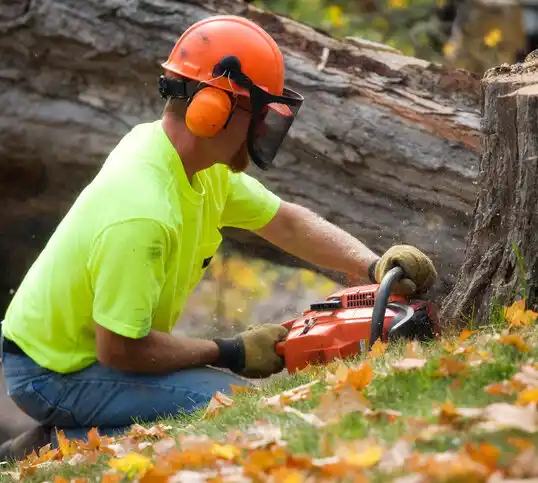 tree services Upper Pohatcong